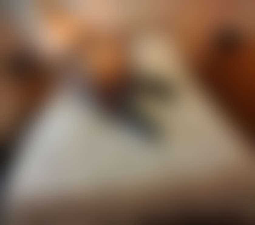 Escorts Bristol Bristol City Centre - Bristol - Photos for NEW Caroline attractive Bristol 10AM TO 9PM